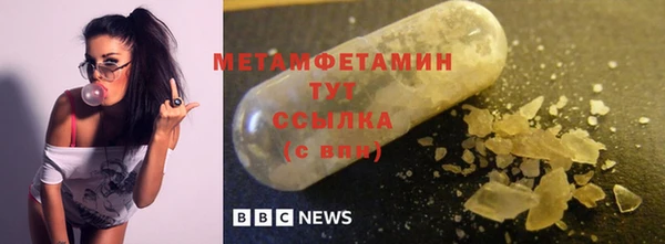гидра Майский