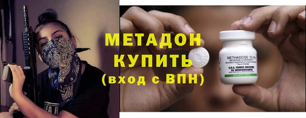 прущие грибы Магадан