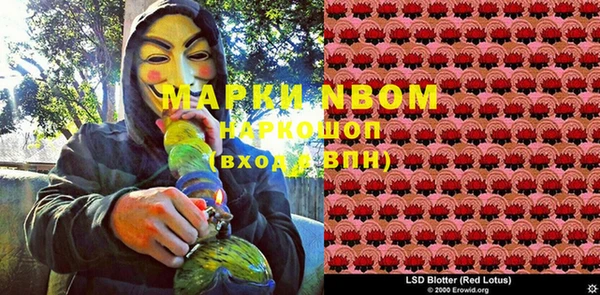 прущие грибы Магадан