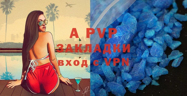 прущие грибы Магадан