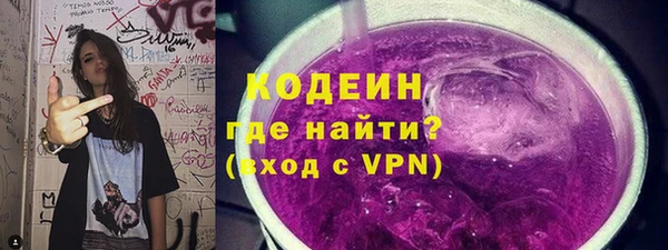 ГАЛЛЮЦИНОГЕННЫЕ ГРИБЫ Верея