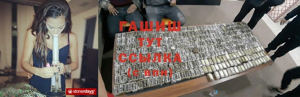 гидра Майский