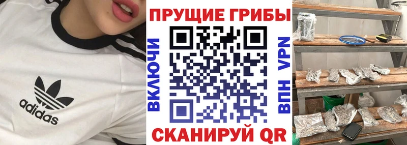 kraken маркетплейс где купить наркотик Шиханы Псилоцибиновые грибы MAGIC MUSHROOMS