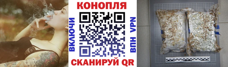 Конопля семена Шиханы
